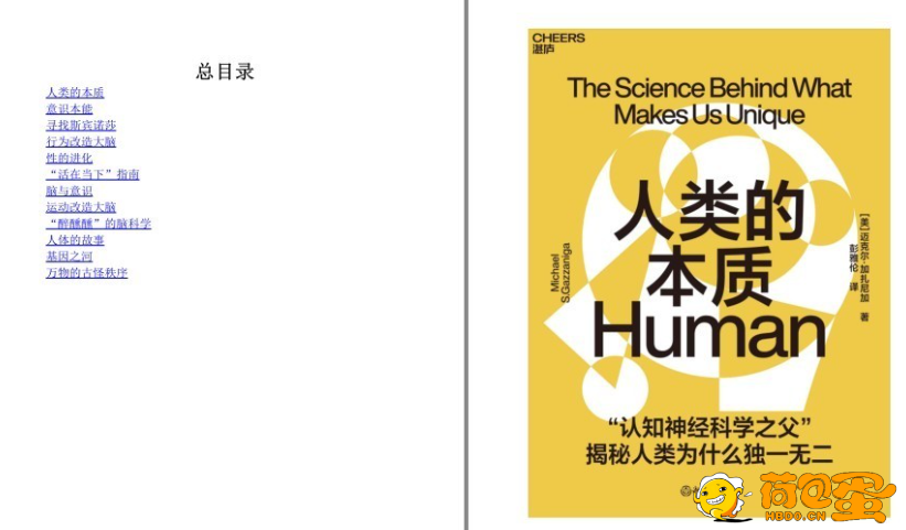 《大师带你揭开神经认知 意识心智的奥秘》套装12册 [pdf.epub] 风吹哪页读哪页 2024-0 ...