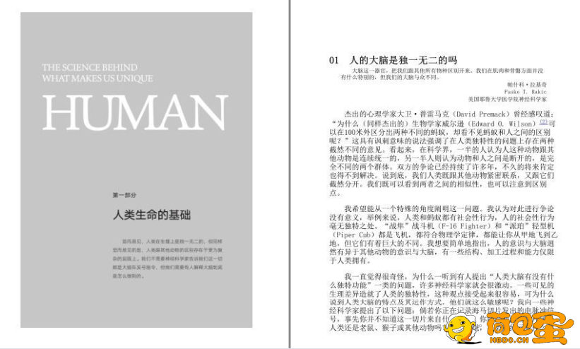 《大师带你揭开神经认知 意识心智的奥秘》套装12册 [pdf.epub] 风吹哪页读哪页 2024-0 ...