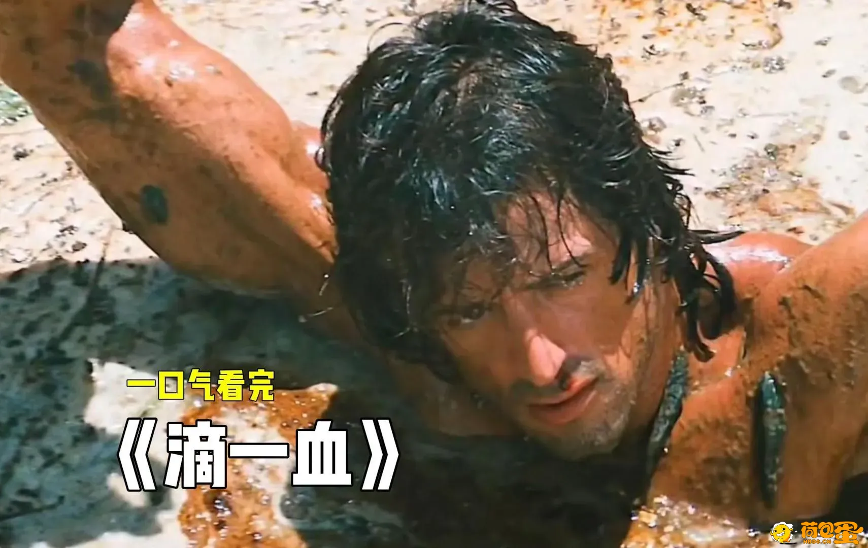 第一滴血 (5部全)硬汉史泰龙一战成名,奠定巨星地位,铁血英雄的正义之战,蓝博传奇无法 ...